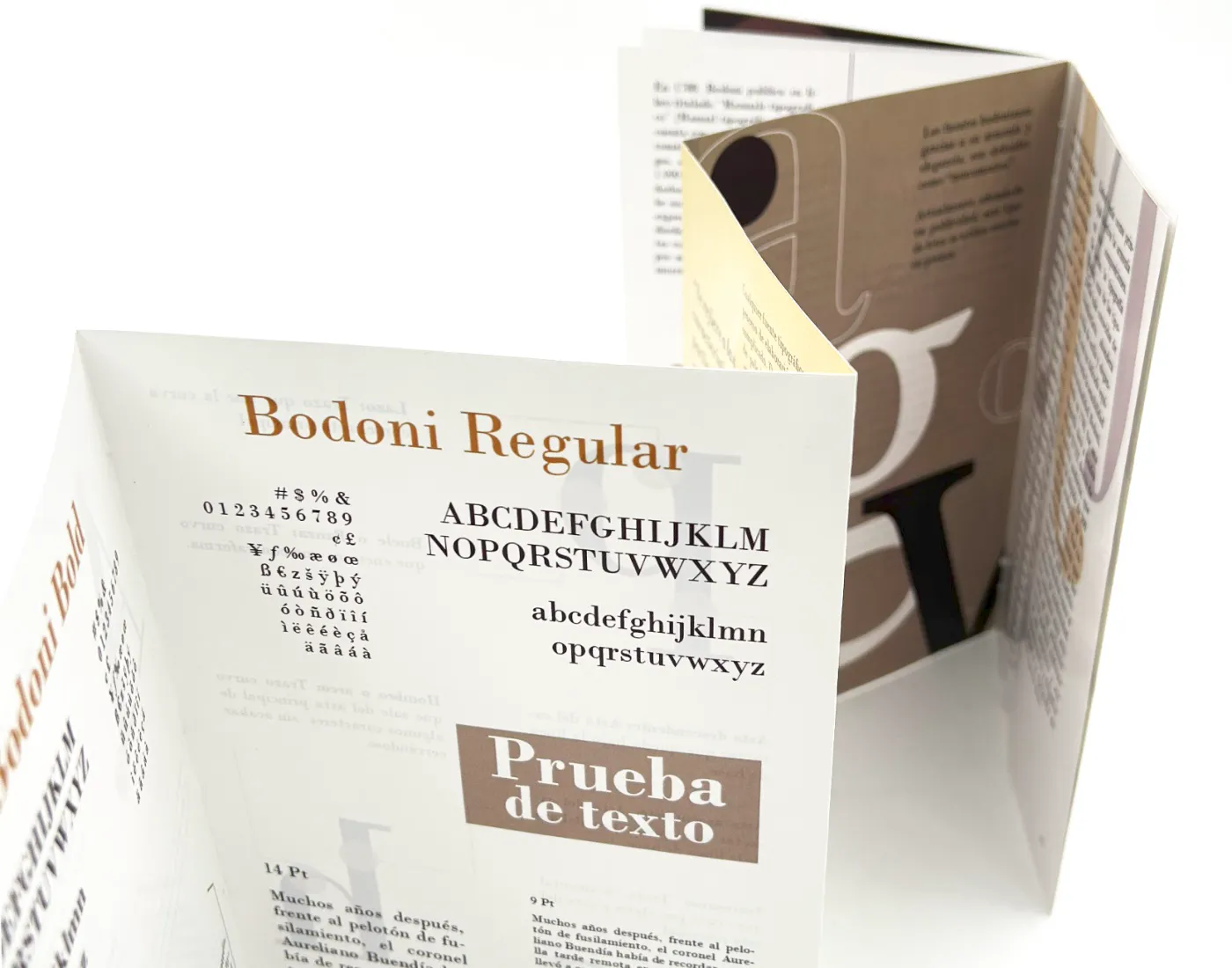 Bodoni — despliegue acordeón de la publicación
