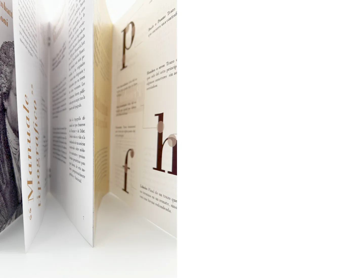 Anatomía de la tipografía Bodoni