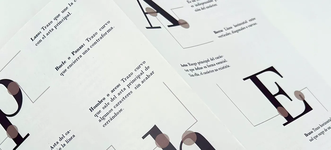 Anatomía de la tipografía Bodoni, detalle 2